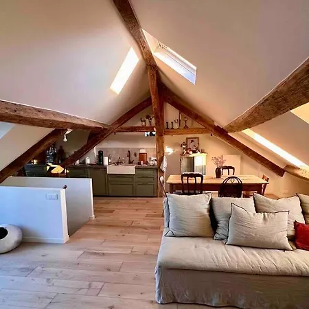 Διαμέρισμα Duplex Au Coeur De *