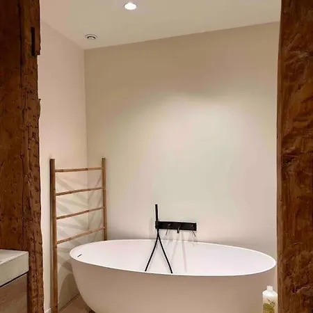 Διαμέρισμα Duplex Au Coeur De *